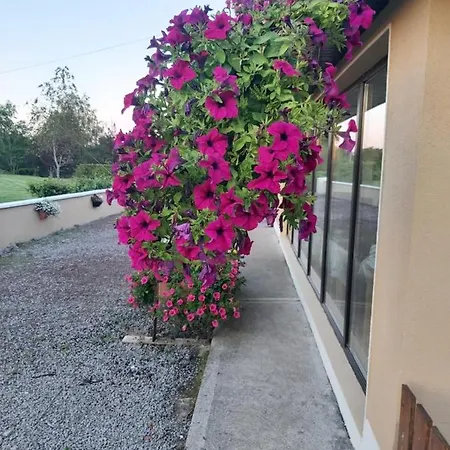 ベッド・アンド・ブレックファスト Ard Aoibhinn Roscommon Lecarrow