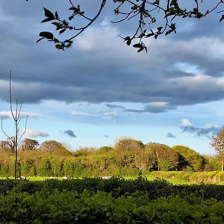 Ard Aoibhinn Roscommon 3*