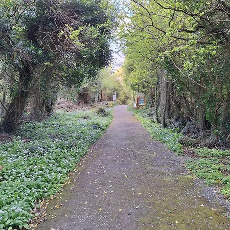 Bed & Breakfast Ard Aoibhinn Roscommon 3*
