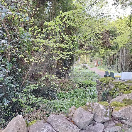 ベッド・アンド・ブレックファスト Ard Aoibhinn Roscommon 3*