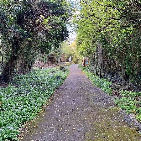 Ard Aoibhinn Roscommon 3* Lecarrow