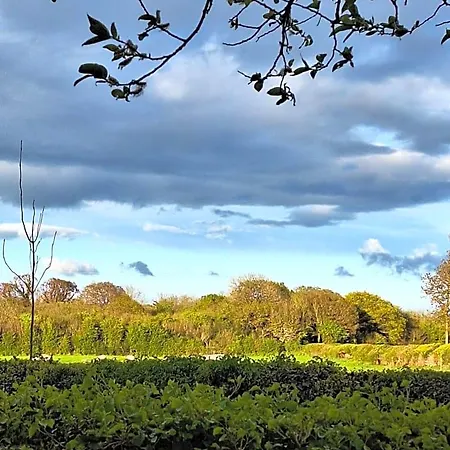 Ard Aoibhinn Roscommon Bed & Breakfast 3*