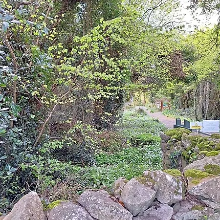Bed & Breakfast Ard Aoibhinn Roscommon Lecarrow
