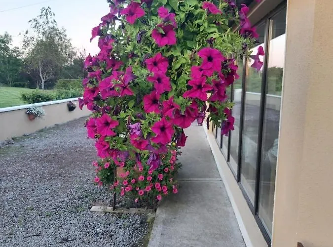 Bed & Breakfast Ard Aoibhinn Roscommon Lecarrow