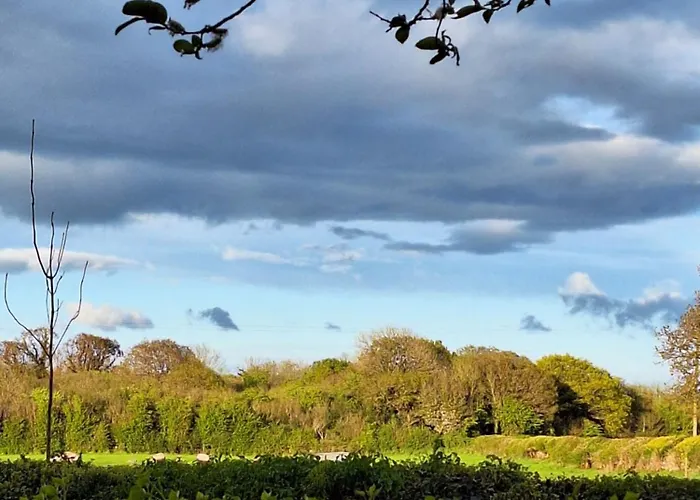 Ard Aoibhinn Roscommon 3*